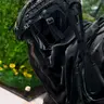 Profile image of ケーニッヒ