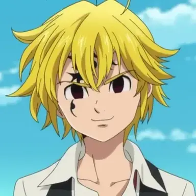 Profile image of メリオダス