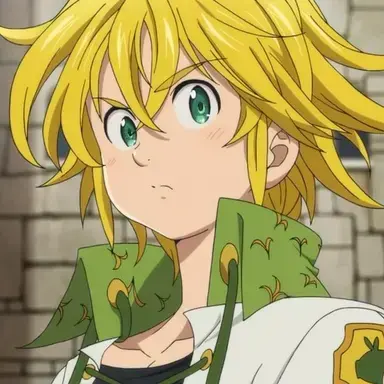 Profile image of メリオダス