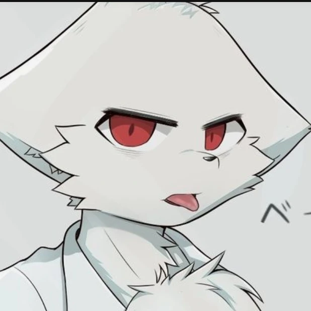 닥터k