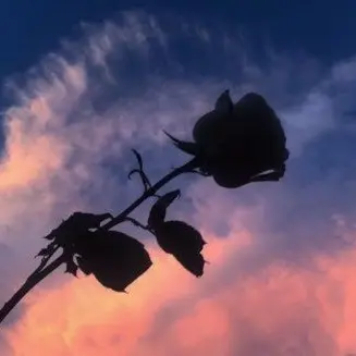 Profile image of 깡통