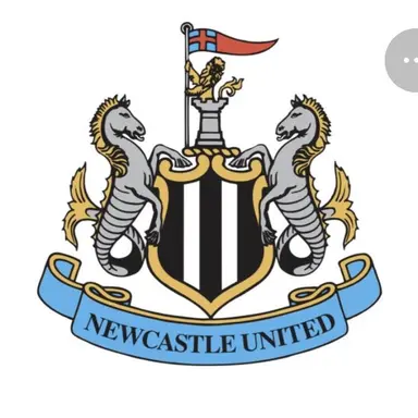 Profile image of ニューカッスル