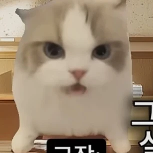 건이