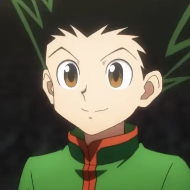 Profile image of Gon Freecss