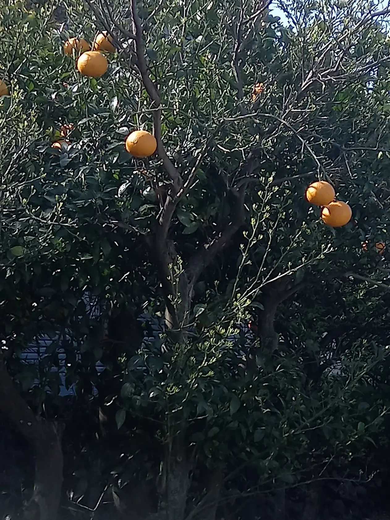 EILI942의 무서운 뜰팁 언니 오빠