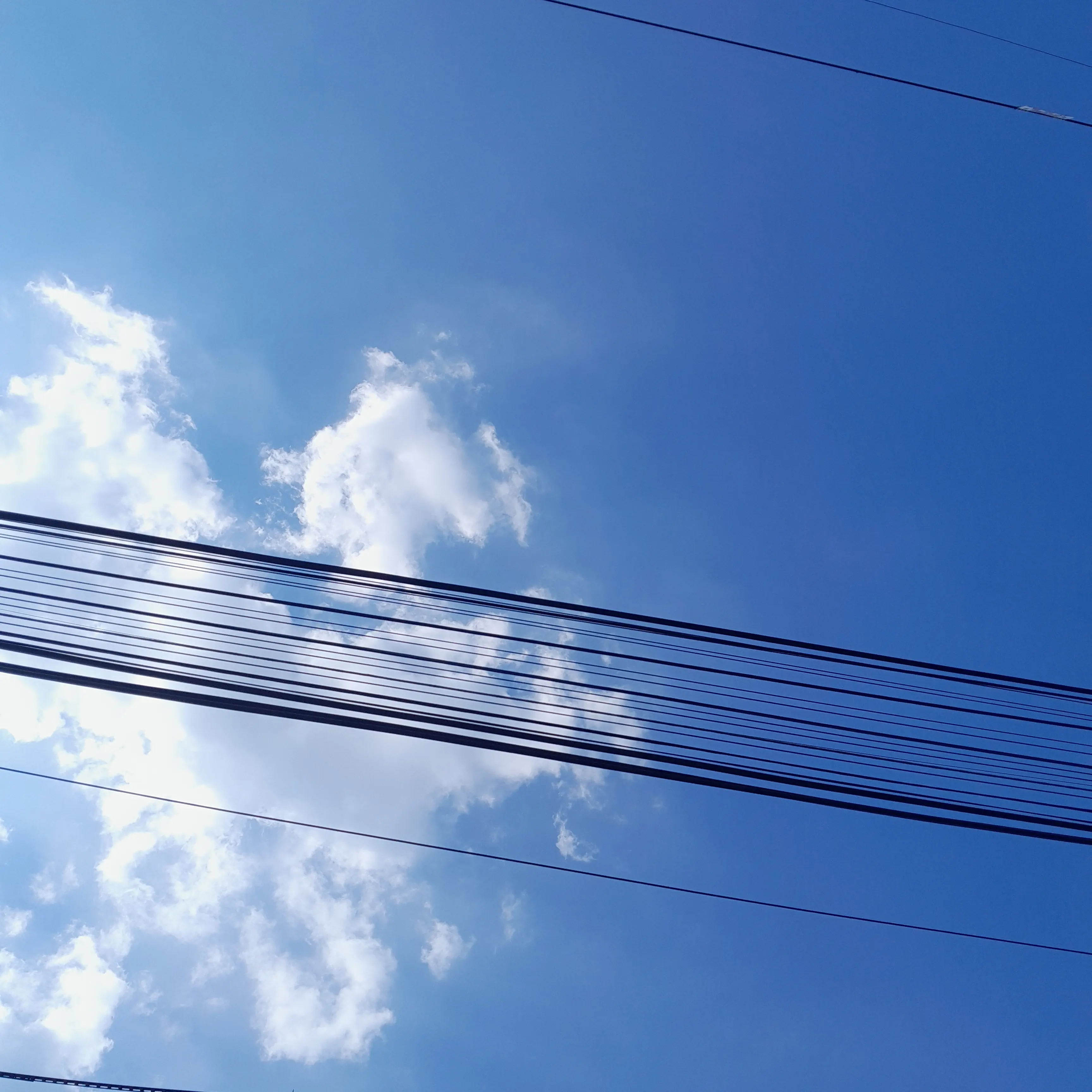 lovelycuty의 네가 죽어더미즈남매