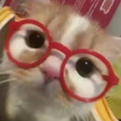일찐무리 대표 이미지