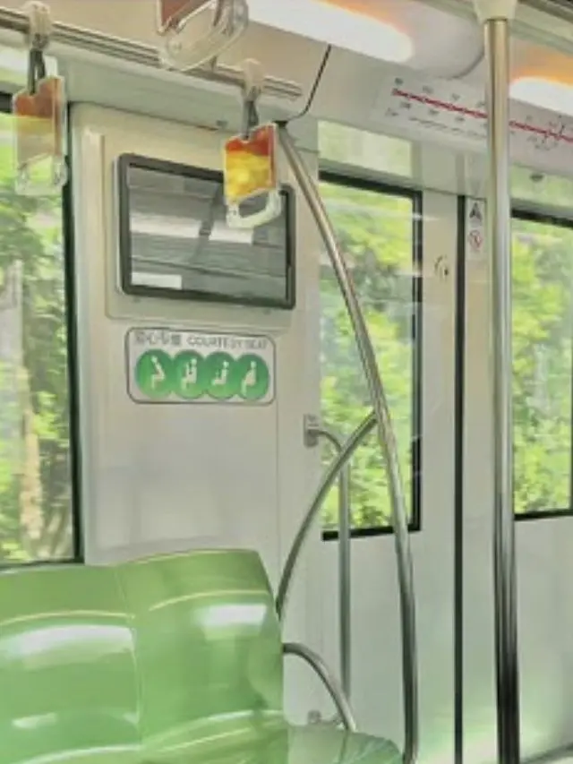 Honney_bear의 정형준