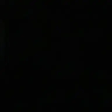 Profile image of 조우안신