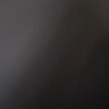 Profile image of 안고은