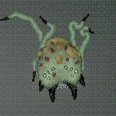 Profile image of 엘더  가시거미