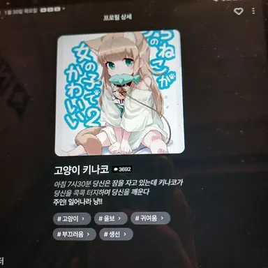 Profile image of 키나코