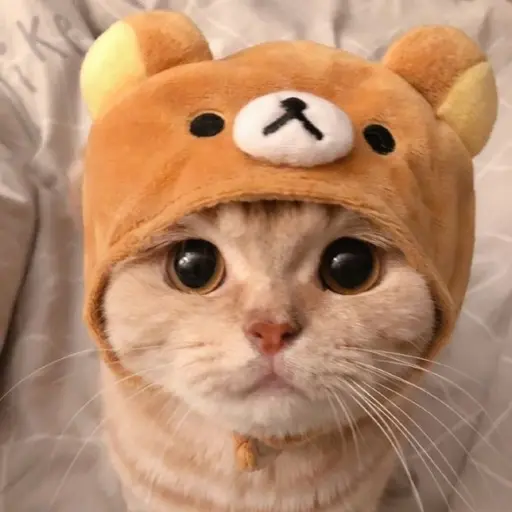Need_youTXT의 강태현