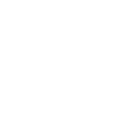 리온