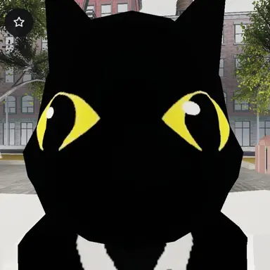 Profile image of 고양이