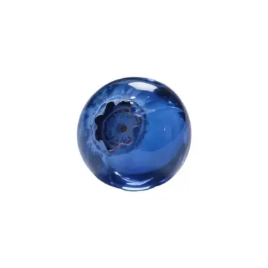 Profile image of 転がってる丸い物