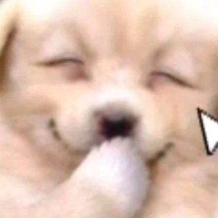 강아지