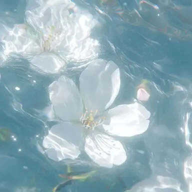 Profile image of 잠뜰