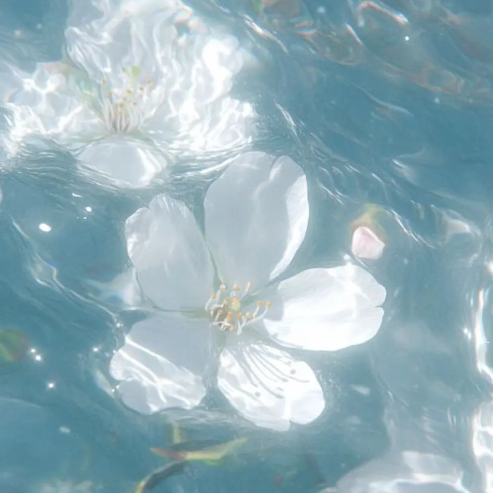 Iwanthome365의 사랑해줄 때까지 -뜰팁-