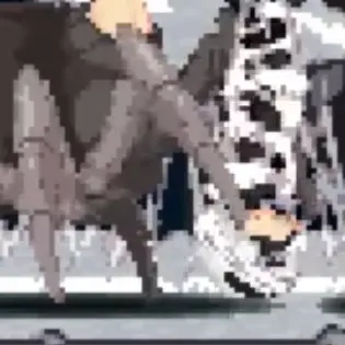 Profile image of 거미