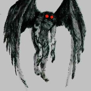 Moth man 대표 이미지