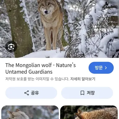 Profile image of 늑대