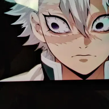 Profile image of 시나즈가와 사네미