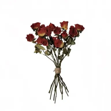 Profile image of 마플