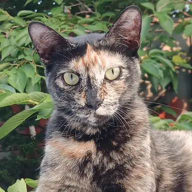 Profile image of 승객