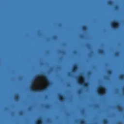 Profile image of 露帝