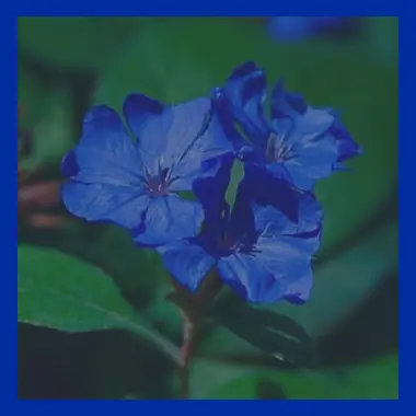 Profile image of 남도일