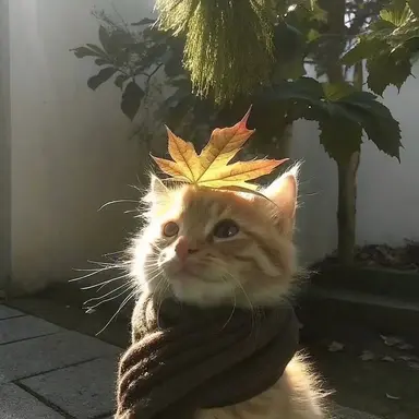 Profile image of 류