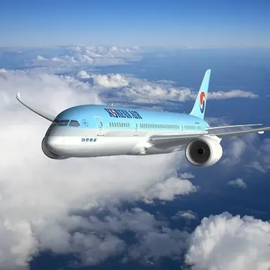 Profile image of 보잉787