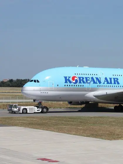 Ukraniesdrone의 살아있는 공항