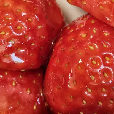 Profile image of 서라더