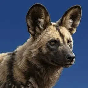 Profile image of リカオン誠也