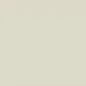 mi_c.o의 しようきんし