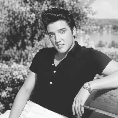 Profile image of Elvis