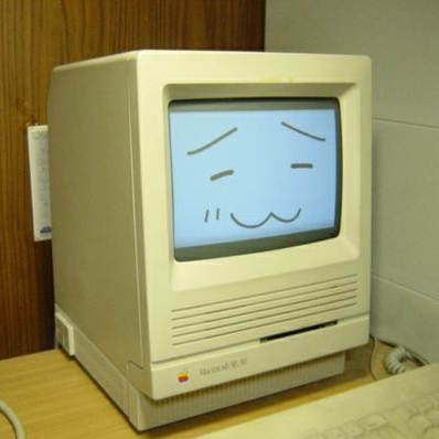바보 대표 이미지