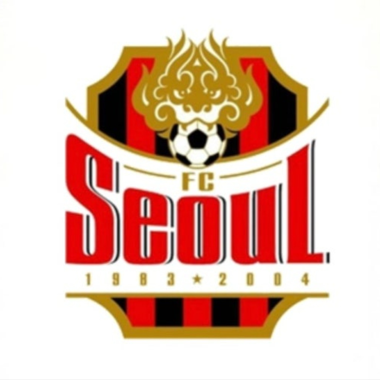 FC서울 대표 이미지