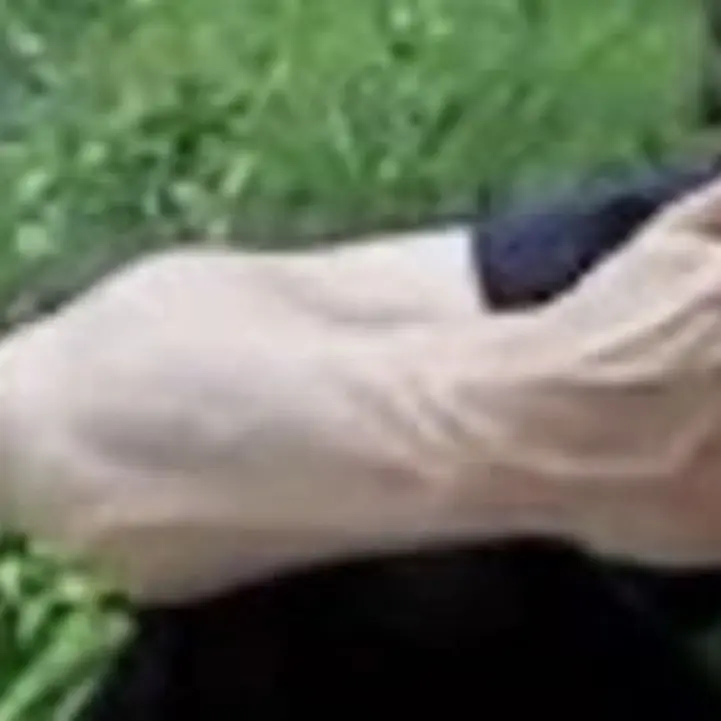 UntidyBee2035의 윤도운