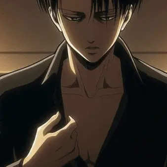 FutureMudi9022의 리바이 반.