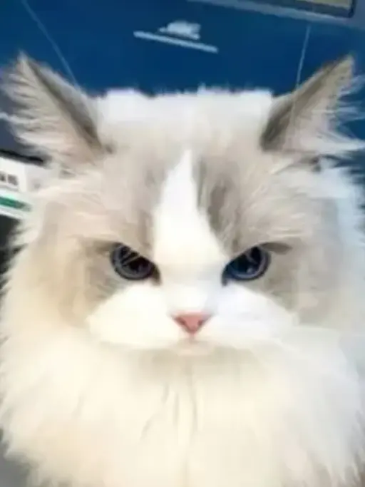 FluffyJuice2035의 ‪‪‪‪配信者たちは人外にむちゅー‪‪♥
