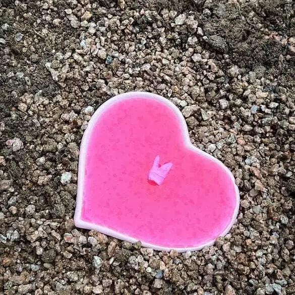 Boy_Comics의 곽지석