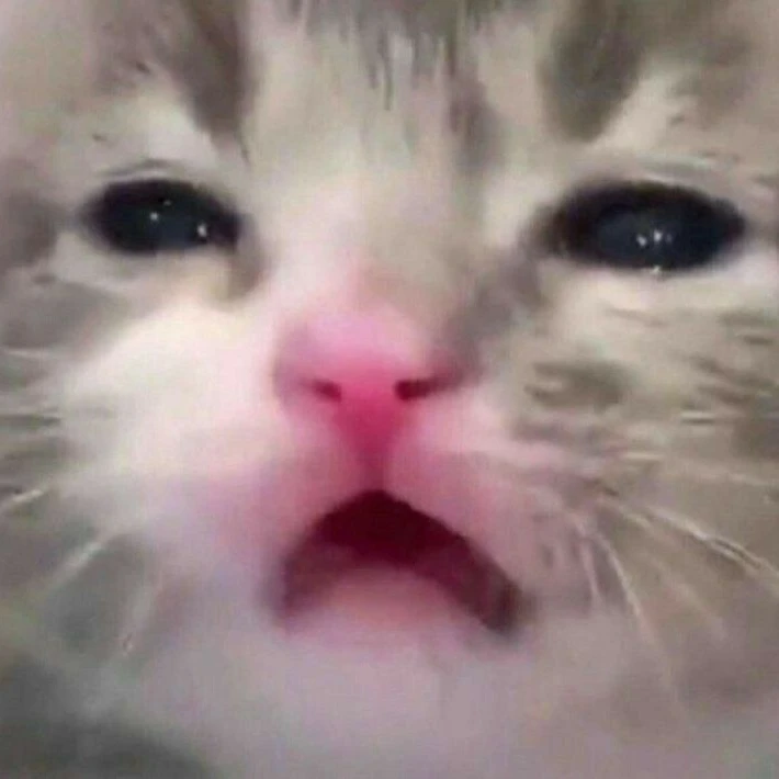 이백화