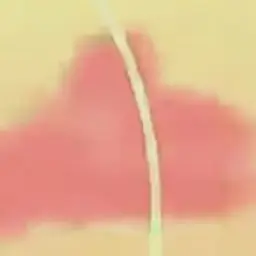 Profile image of 엄마