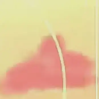 Profile image of 아빠