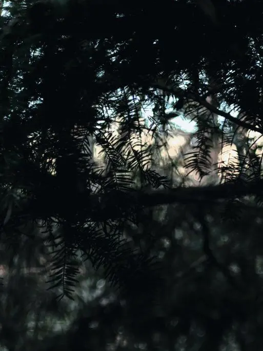 ArienaiHanasi의 七不思議さん