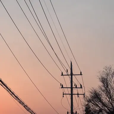 Profile image of 오오츠미 하츠시