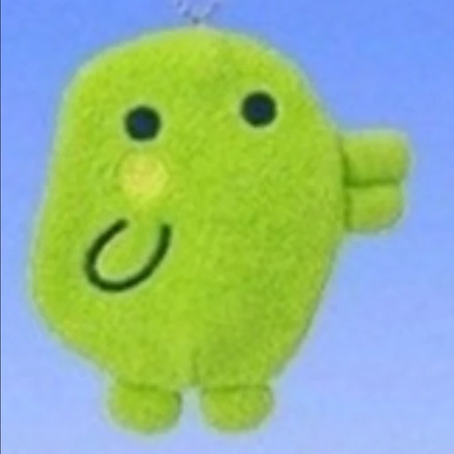 연초짱